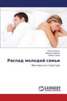 Распад молодой семьи: Факторы и их структура 3843300178 Book Cover