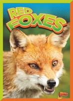 Red Foxes 0716694441 Book Cover