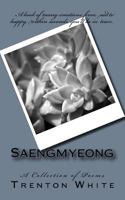 Saengmyeong: A Collection of Poems 1719379262 Book Cover