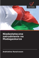 Niedostateczne zatrudnienie na Madagaskarze (Polish Edition) 6630217675 Book Cover