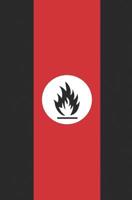 Seized by a Strange Fire: The Making of Fuhrer and Cult 1097669114 Book Cover