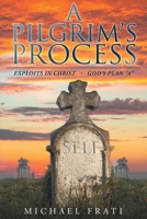 A Pilgrim's Process 1635254132 Book Cover
