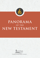 Panorama of the New Testament 0814663745 Book Cover