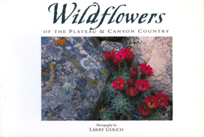 Wildflowers of the Plateau & Canyon Country: Twenty Postcards 0944197434 Book Cover