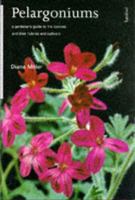 Pelargoniums: A Gardener's Guide to the Species and Their Hybrids and Cultivars 0713472839 Book Cover