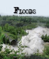 Floods 1567662145 Book Cover
