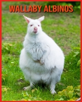 Wallaby Albinos: Informations Très Amusantes et Photos Etonnantes B08WJZDD2J Book Cover