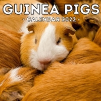 Guinea Pigs Calendar 2022: 16-Month Calendar, Cute Gift Idea For Girls null Book Cover