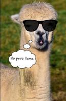 No Prob Llama: Dot Grid Sketch Book 1723987255 Book Cover