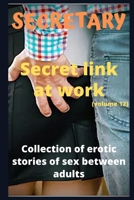 SECRETAIRE - Communion intime entre collègues (volume 12): Recueil d'histoires érotiques de sexe entre adultes dans le cadre professionnel (French Edition) B084DPWVMJ Book Cover