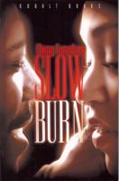 Slow Burn 0976911744 Book Cover