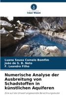 Numerische Analyse der Ausbreitung von Schadstoffen in künstlichen Aquiferen: Eine auf die Umwelt angewandte Berechnungsstudie 6206343189 Book Cover