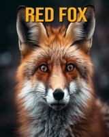 Red Fox: Fun Facts Book for Kids B0CF45D3HM Book Cover