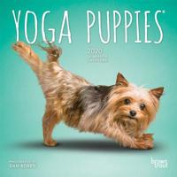 Yoga Puppies 2020 7 x 7 Inch Monthly Mini Wall Calendar, Animals Humor Puppy 197541229X Book Cover