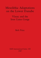 Mesolithic Adaptations on the Lower Danube 0860544249 Book Cover