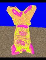 HEROES: Digital Image Processing 1795802987 Book Cover