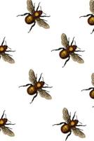 Honeybee Notebook: SKETCH AND WRITE 6 x 9 notebook with 110 pages. Birthday gift idea for daughter, niece, little sister, best friend 1079109706 Book Cover