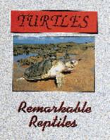 Turtles (Remarkable Reptiles & Amazing Amphibians) 1562393081 Book Cover