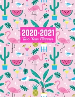 2020-2021 Two Year Planner: Handy 24-Month Planner & Calendar Large 8.5 x 11 (Jan 2020 - Dec 2021) Daily Weekly and Monthly Schedule Art Cover 00023189 1712699474 Book Cover