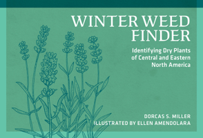 Winter Weed Finder: Identifying Dry Plants of Central and Eastern North America 0912550538 Book Cover