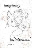 Imaginary Infinitesimal: Instapoetry B0BM3CB87C Book Cover
