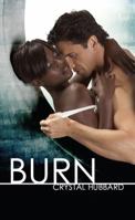 Burn 1585714062 Book Cover