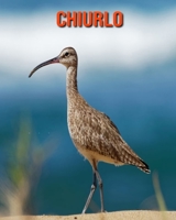 Chiurlo: Immagini bellissime e fatti interessanti Libro per bambini sui Chiurlo B095T1QWSJ Book Cover