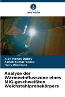 Analyse der Wärmeeinflusszone eines MIG-geschweißten Weichstahlprobekörpers (German Edition) 6205525496 Book Cover