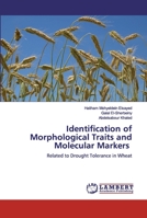 Identification of Morphological Traits and Molecular Markers: Related to Drought Tolerance in Wheat 6200431965 Book Cover