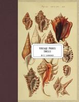 Vintage Prints: Shells 1721949321 Book Cover