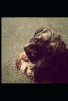 Savage Thoughts B09XZP83D6 Book Cover