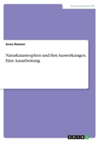 Naturkatastrophen und ihre Auswirkungen. Eine Ausarbeitung 366828783X Book Cover