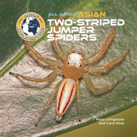 All about Asian Two-Striped Jumper Spiders (Spiders Around the World: Asia) 1680208837 Book Cover