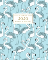 2020: Weekly and Monthly Planner/Calendar Jan 2020 - Dec 2020 Blue and White Flamingo Pattern 1699038740 Book Cover