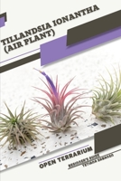 Tillandsia ionantha (Air Plant): Open terrarium, Beginner's Guide B0CDYRKY6Q Book Cover