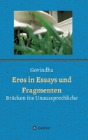 Eros in Essays und Fragmenten: Brücken ins Unaussprechliche 3347408950 Book Cover