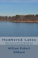 Numbered Lakes: Small Tales of a Kid's Life Growing Up in North Little Rock During the Late '60s 1530135028 Book Cover