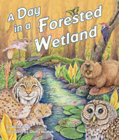 A Day in a Forested Wetland 1628559128 Book Cover