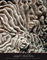 Mozarts tredje hjärna 0300145802 Book Cover