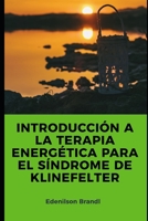 Introducción a la Terapia Energética para el Síndrome de Klinefelter B0CHDBKNXR Book Cover