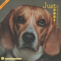Just Beagles 2021: Wall Calendar Animals Dogs Breeds Cute Puppies B08RG36KTW Book Cover