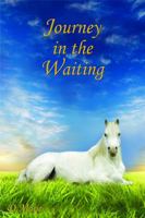 Journey in the Waiting: Faith, Family, and Forgiveness 1734052074 Book Cover