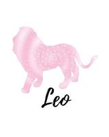 Leo: Leo Sketch Book Pink 172768933X Book Cover