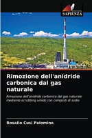 Rimozione dell'anidride carbonica dal gas naturale 6203360066 Book Cover