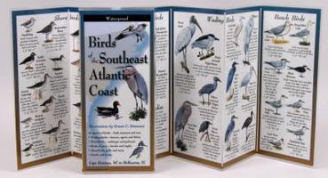 Birds of the Southeast Atlantic Coast 1893770370 Book Cover