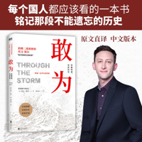 Through the Storm (Chinese Edition) B0GFJSQ6R2 Book Cover