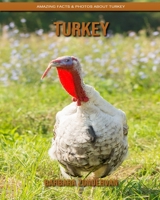 Turkey: Amazing Facts & Photos about Turkey B084DGFQBY Book Cover