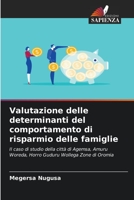 Valutazione delle determinanti del comportamento di risparmio delle famiglie 6203697028 Book Cover