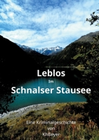 Leblos im Schnalser Stausee: Eine Kriminalgeschichte 3752623306 Book Cover