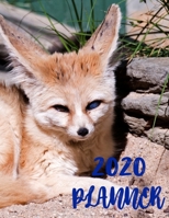 Planner 2020: 365 Days Daily Weekly & Monthly Personal Appointment at a Glance Calendar Planner Spread Views 12 Months to Do List Jan 1, 2020 to Dec 31, 2020 Design Fennec Fox Lover Cover 1676553444 Book Cover
